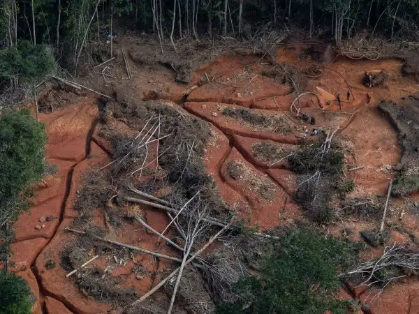 Latin America - Brazil - Forest cleared for mining