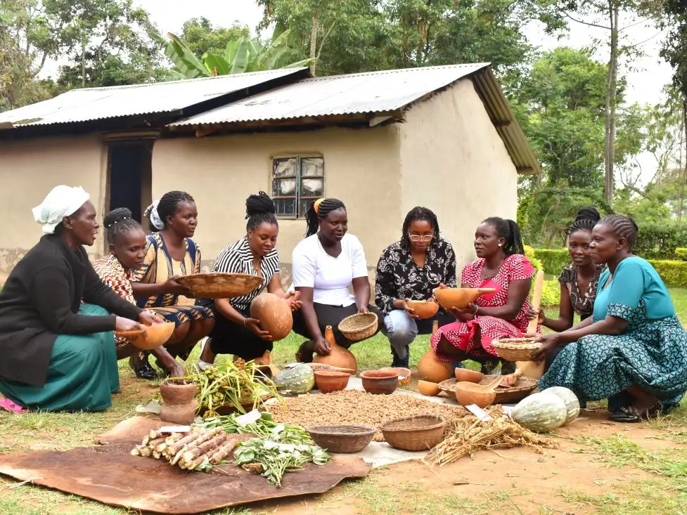The impact of Kenyan seed laws on women