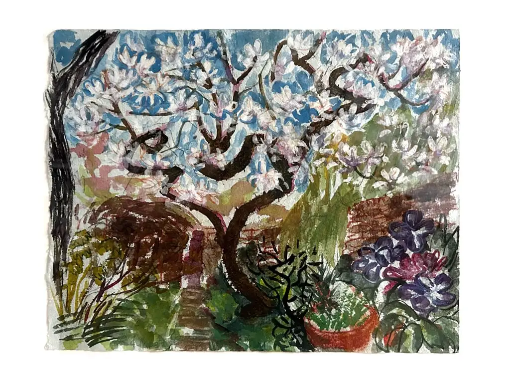 Magnolia Tree