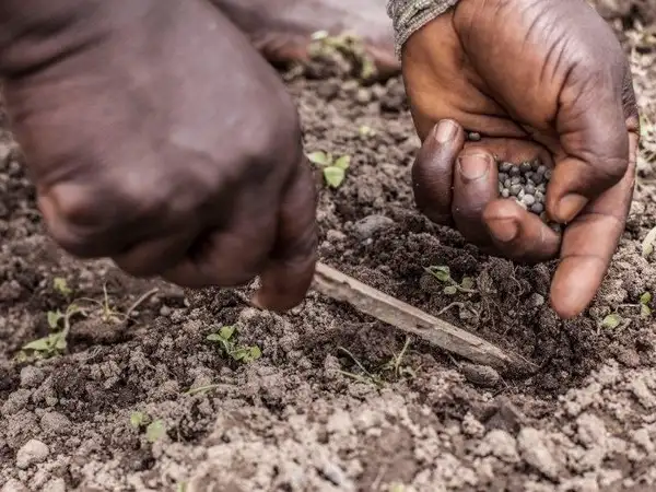 Bridging the North–South Divide: A Shared Responsibility for Economic and Ecological Justice