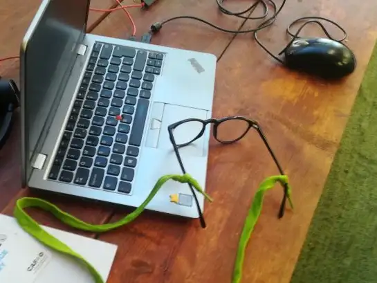 Green Shoelaces