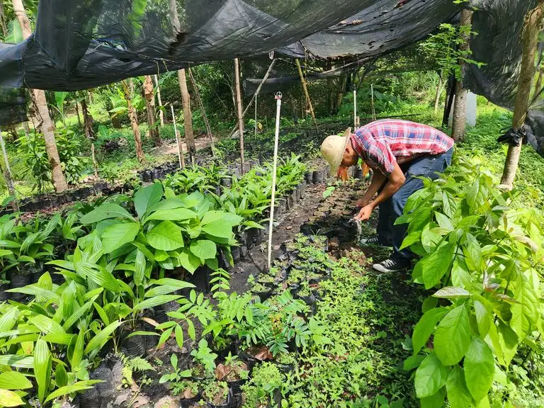 Dilexi te's call for renewal