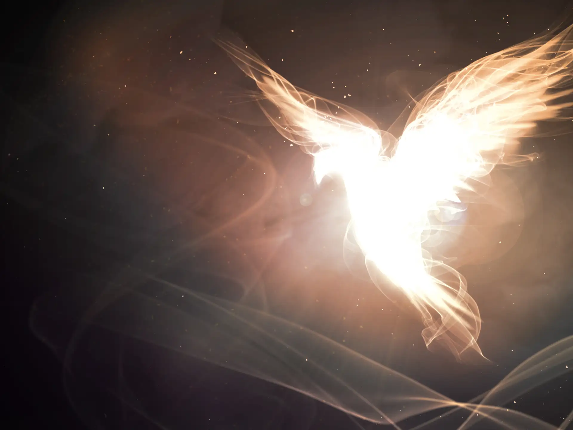 Holy Spirit - dove