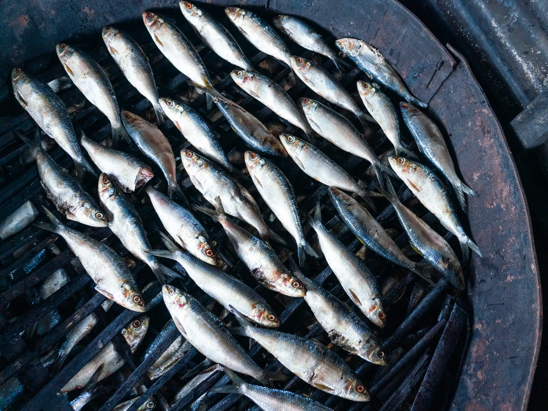 The difference monthly gifts make: How Felicia built her business