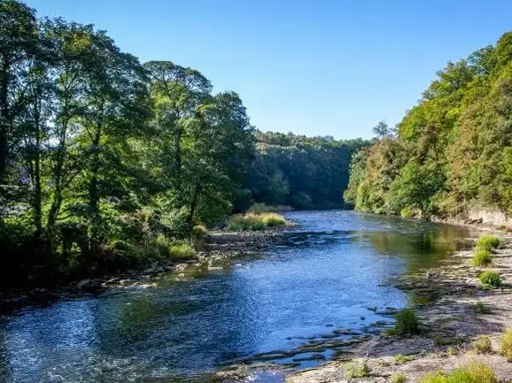 World Day of Prayer for the Care of Creation