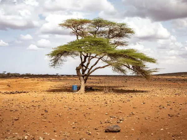Africa - Kenya - Marsabit country