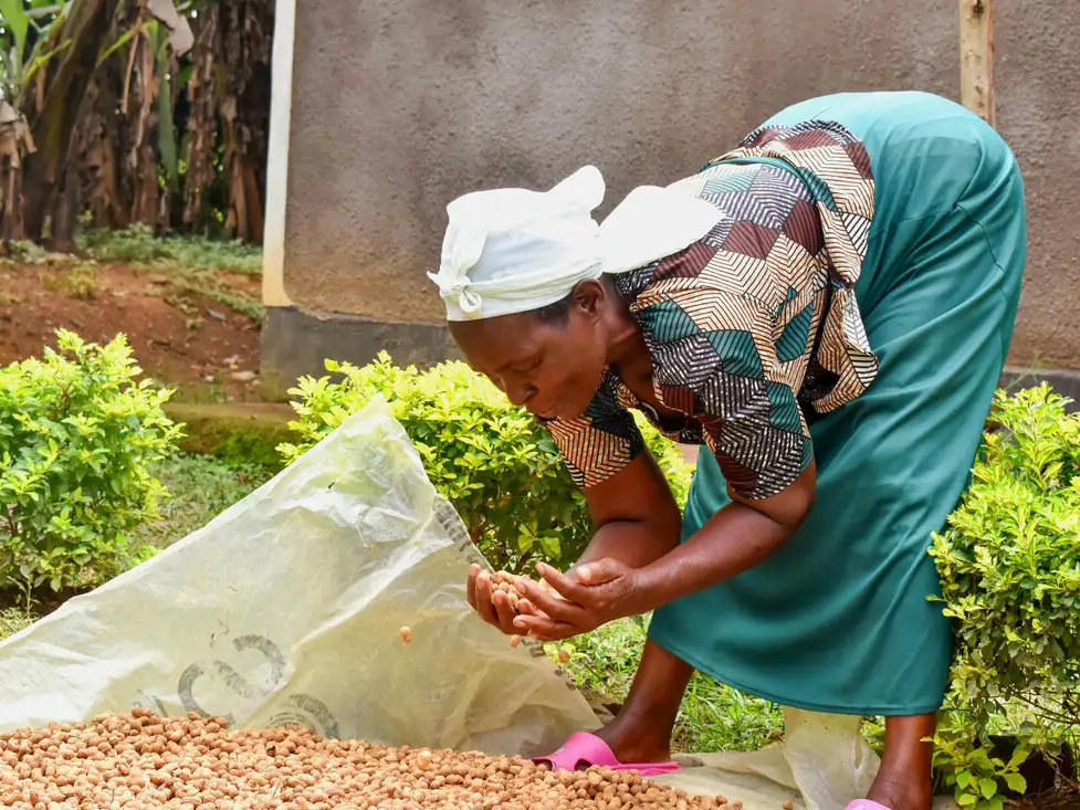 The impact of Kenyan seed laws on women