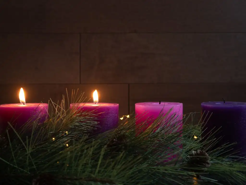 Second Sunday of Advent (Year A) activity sheet