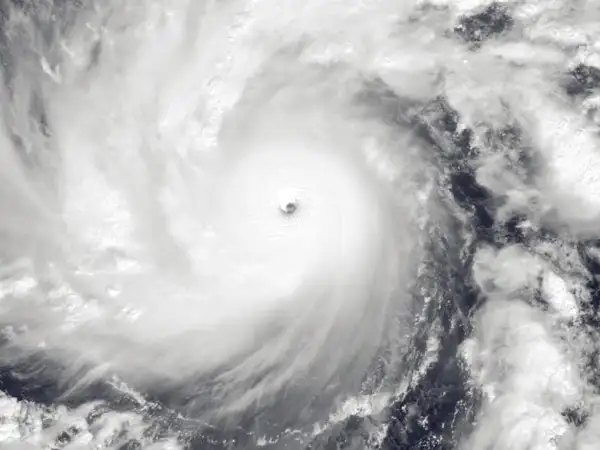 A Good Samaritan to the Earth