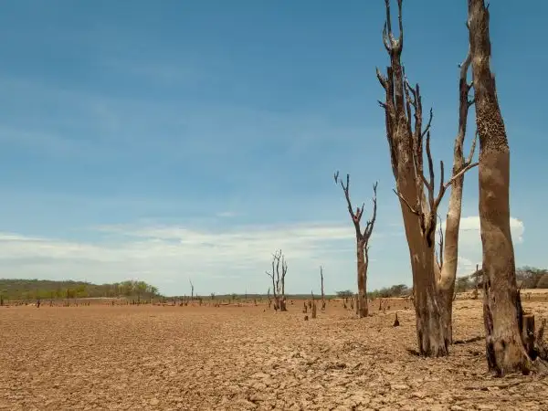 Africa - Zimbabwe - Drought, Dry Landscape
