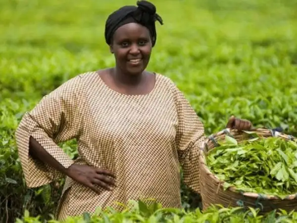 Photo for February 24